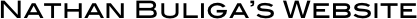 
Nathan Buliga’s Website